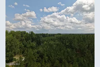1581 Doubs Chapel Road, West End, NC 27376 - Photo 9