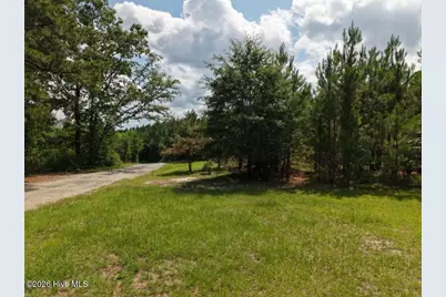 1581 Doubs Chapel Road, West End, NC 27376 - Photo 5