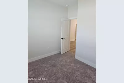210 S Umbrella Palm Drive, Hampstead, NC 28443 - Photo 21