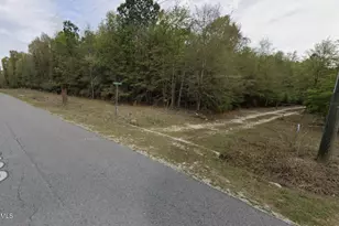 Lt 10 Turning Leaf Ln, Barnwell, SC 29812 - Photo 1
