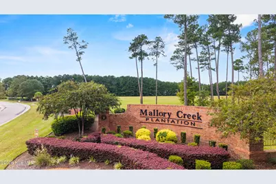 2266 Jasper Forest Trail, Leland, NC 28479 - Photo 57