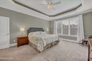 3729 Cinnamon Fern Dr, Southport, NC 28461 - Photo 15