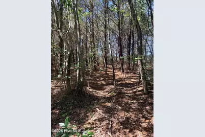 Near 523 Culbreth Smith Road, Elizabethtown, NC 28337 - Photo 9