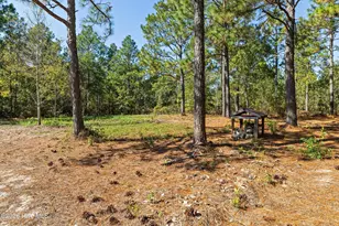 34 Starling Ct, Aiken, SC 29805 - Photo 63