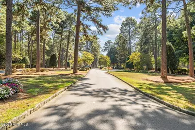 50 Cochrane Castle Circle, Pinehurst, NC 28374 - Photo 57