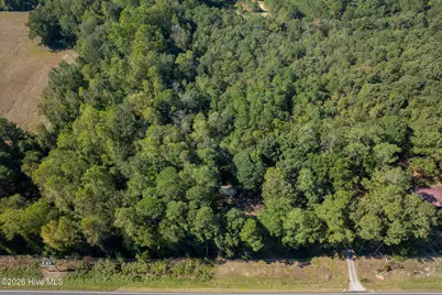 245 Tracy Brown Road, Magnolia, NC 28453 - Photo 45