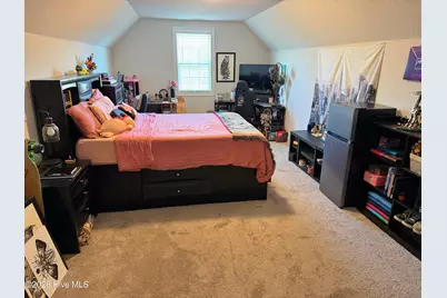 337 Naval Store Drive, Jacksonville, NC 28546 - Photo 55