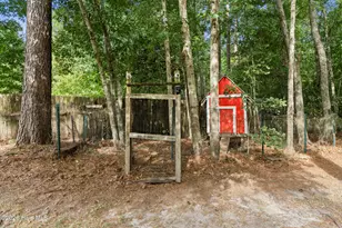 259 S Creek Dr, Jacksonville, NC 28540 - Photo 29