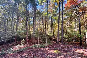 387 Dawsons Ln, Murphy, NC 28906 - Photo 31