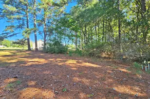 5015 St Marys Church Rd, Lucama, NC 27851 - Photo 7