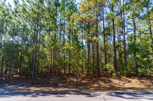 134 Vanore Rd, West End, NC 27376 - Photo 1