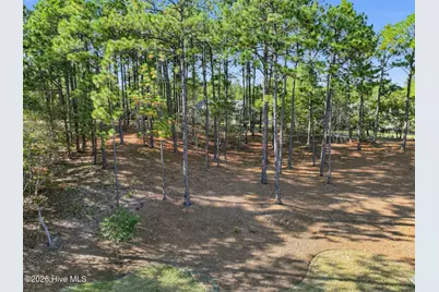 113 Pittman Road, Seven Lakes, NC 27376 - Photo 65