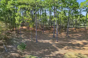 113 Pittman Rd, Seven Lakes, NC 27376 - Photo 65