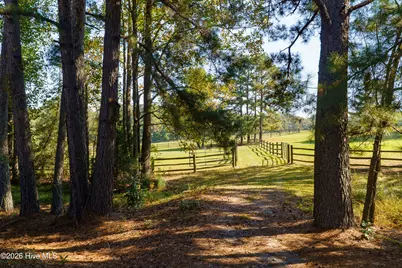 275 Tremont Place, Southern Pines, NC 28387 - Photo 53