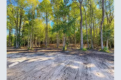 9800 Hinnant-Edgerton Road, Kenly, NC 27542 - Photo 23