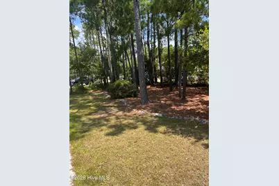 202 Mimosa Drive, Sneads Ferry, NC 28460 - Photo 13