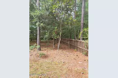 202 Mimosa Drive, Sneads Ferry, NC 28460 - Photo 43