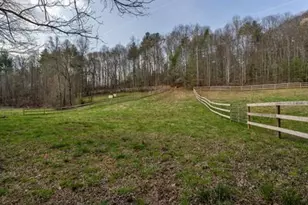 1132 Hells Hollow Rd, Blue Ridge, GA 30513 - Photo 53