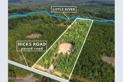 Lot 6 Capelsie Road, Candor, NC 27229 - Photo 3