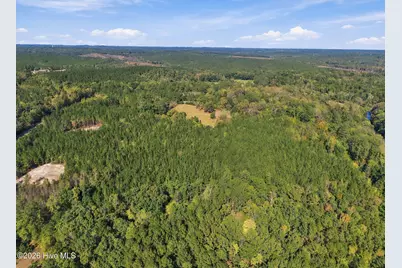 Lot 6 Capelsie Road, Candor, NC 27229 - Photo 7