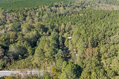 1491 Sandhill Game Mgt Road, Rockingham, NC 28379 - Photo 37