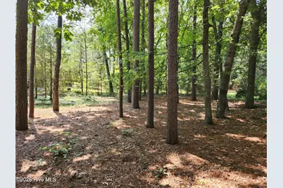 665 N Hale Street, Southern Pines, NC 28387 - Photo 3