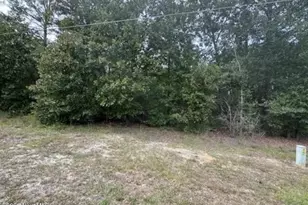 Lot 19 Ida Mill Rd, Laurel Hill, NC 28351 - Photo 1