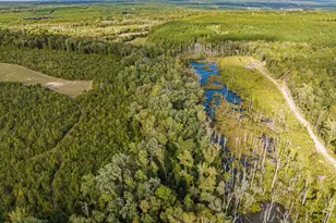 3275 Hadden Pond Rd, Avera, GA 30803 - Photo 69