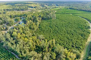 3275 Hadden Pond Rd, Avera, GA 30803 - Photo 57