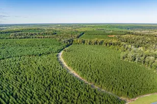 3275 Hadden Pond Rd, Avera, GA 30803 - Photo 55