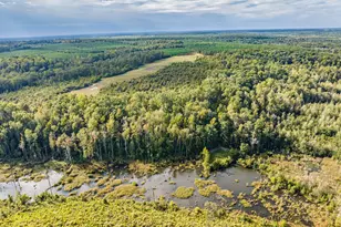 3275 Hadden Pond Rd, Avera, GA 30803 - Photo 65