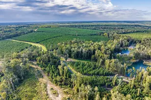 3275 Hadden Pond Rd, Avera, GA 30803 - Photo 59