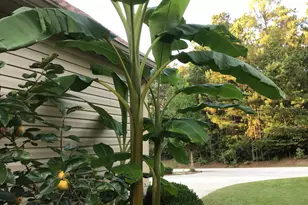 218 Monroe Ln, McCormick, SC 29835 - Photo 7