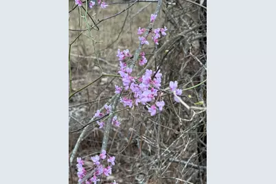 00 Lighthouse Point #12 C, Lincolnton, GA 30817 - Photo 7