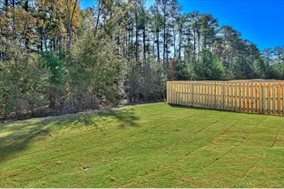 929 Speckled Teal Path, Aiken, SC 29803 - Photo 31