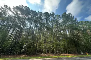 Lot 2 Dogwood Ln, Parksville, SC 29845 - Photo 1