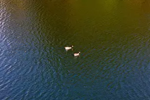 3042 Lake Norman Dr, North Augusta, SC 29841 - Photo 47