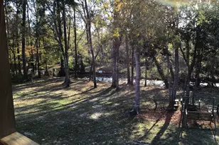 129 Brannen Landing Landing, Midville, GA 30441 - Photo 41