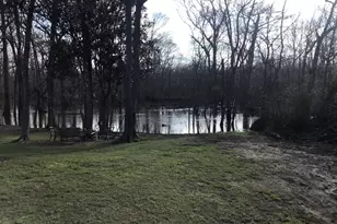 129 Brannen Landing Landing, Midville, GA 30441 - Photo 49