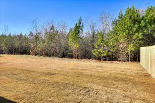 904 Speckled Teal Path, Aiken, SC 29803 - Photo 31