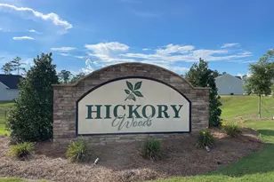 343 Tupelo Pass, Harlem, GA 30814 - Photo 33