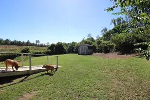 308 Bradleyville Road Rd, North Augusta, SC 29841 - Photo 27