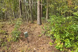 Lt 5 Bk 23 Brassie Dr, McCormick, SC 29835 - Photo 1