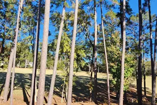 314 Palmer Ln, McCormick, SC 29835 - Photo 45