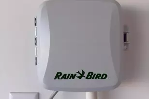 1371 Elias Sta, Thomson, GA 30824 - Photo 3