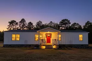 10199 Ga Hwy 296, Stapleton, GA 30823 - Photo 3