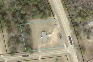 10199 Ga Hwy 296, Stapleton, GA 30823 - Photo 33