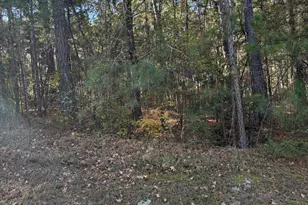 Lot 13 Two Wood Pl, McCormick, SC 29835 - Photo 1