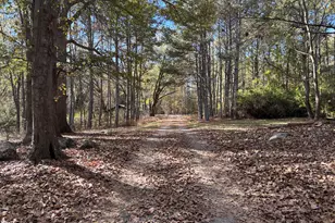 1044 Sardis Rd, Rayle, GA 30660 - Photo 57