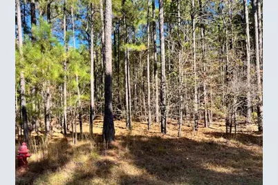 0 Mariners Way Lot #41, Lincolnton, GA 30817 - Photo 3